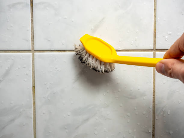 Mold Testing and Removal in Topeka, KS