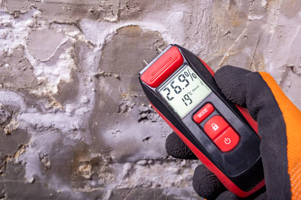 Best Toxic Mold Removal  in Topeka, KS
