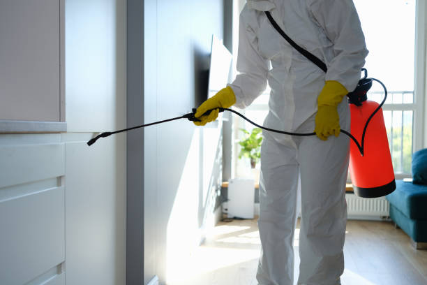 Best Local Mold Removal Service  in Topeka, KS