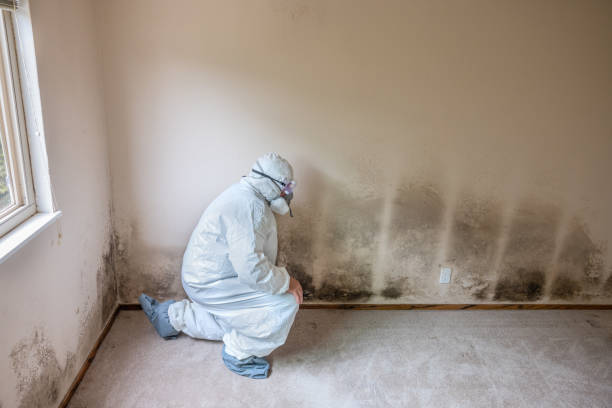 Best Emergency Mold Removal  in Topeka, KS