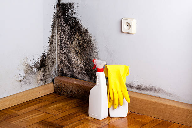 Best Office Mold Removal Services  in Topeka, KS