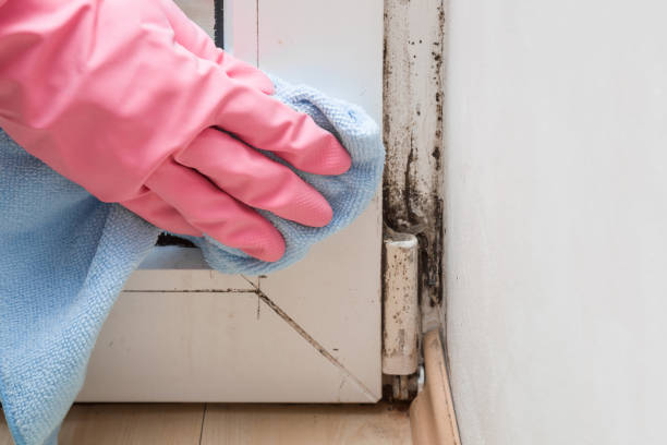 Water Damage Restoration in Topeka, KS
